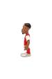 Obrázok pre MINIX ARSENAL - GABRIEL JESUS