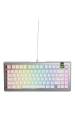 Obrázok pre Glorious Gaming GMMK 3 PRO 75% Prebuilt klávesnice Hraní USB QWERTY Americká angličtina Stříbrná