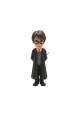 Obrázok pre MINIX HARRY POTTER - HARRY POTTER