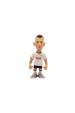 Obrázok pre MINIX TOTTENHAM - IVAN PERISIC