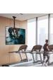 Obrázok pre Techly ICA-CPLB 946S Držák na signage displej 177,8 cm (70") Černá