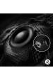 Obrázok pre Logitech G PRO X 2 LIGHTSPEED Headset