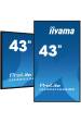 Obrázok pre iiyama LH4341UHS-B2 sdělovací displej 108 cm (42.5") LCD 500 cd/m² 4K Ultra HD Zabudovaný procesor Android 8.0 24/7