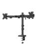 Obrázok pre Neomounts DS60-600BL2 Držák/stojan na monitor 81,3 cm (32") Stůl Černá