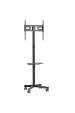 Obrázok pre Televizní stojan Maclean, profesionální, 32-55", na kolečkách, max. VESA 400x400, max. 25 kg, MC-949