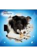 Obrázok pre PURINA Dentalife Mini - pamlsek pro psa - 69g