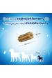 Obrázok pre PURINA Dentalife Mini - pamlsek pro psa - 69g