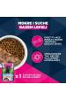 Obrázok pre EUKANUBA Premium nutrition mature Small breed Chicken - suché krmivo pro psy - 3kg