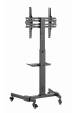 Obrázok pre Gembird TVS-55T-01 Stojan na TV s kolečky (naklápěcí), 32" - 55", černý