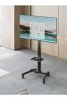 Obrázok pre Gembird TVS-55T-01 Stojan na TV s kolečky (naklápěcí), 32" - 55", černý