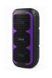 Obrázok pre SQUEAK REPRODUKTOR KARAOKE BEATONE BT 5.3 45W SQ1009