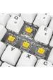 Obrázok pre Sharkoon SGK50 S4 klávesnice Domácí USB QWERTZ Německý Bílá