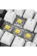 Obrázok pre Sharkoon SGK50 S4 klávesnice Domácí USB QWERTZ Německý Bílá