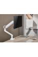 Obrázok pre Equip 650185 Držák/stojan na monitor 88,9 cm (35") Stůl Bílá