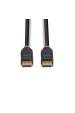 Obrázok pre Lindy 41168 DisplayPort kabel 7,5 m Černá
