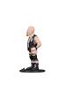 Obrázok pre MINIX WWE - STONE COLD STEVE AUSTIN