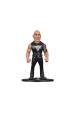 Obrázok pre MINIX WWE - THE ROCK