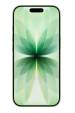 Obrázok pre Apple iPhone 17 16 cm (6.3") Dual SIM iOS 26 5G USB typu C 256 GB Šalvěj lékařská