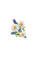 Obrázok pre LEGO BOTANICALS 11508 Sedmikrásky