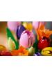 Obrázok pre LEGO BOTANICALS 11501 Kytice tulipánů