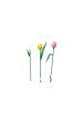 Obrázok pre LEGO BOTANICALS 11501 Kytice tulipánů
