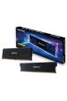 Obrázok pre Paměť DDR4 Biostar 8 GB 3200 MHz Heatsink Storming Vseries (DX32NU4H08)