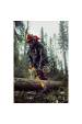 Obrázok pre Makita DUC122Z chainsaw Black,Blue