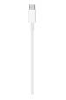 Obrázok pre Apple MW2R3ZM/A kabel Lightning 2 m Bílá