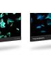 Obrázok pre Thomson 43MG7C15 televizor 109,2 cm (43") 4K Ultra HD Smart TV Wi-Fi Černá 320 cd/m²