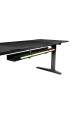 Obrázok pre GENESIS NDS-2295 computer desk Black