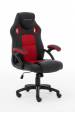 Obrázok pre Raptor Gaming 437764 židle pro hraní počítačových her Počítačová herní židle Polstrované sedadlo Černá, Červená