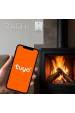 Obrázok pre Qoltec 52651 Senzor úniku zemního plynu | CH4 detektor | NG | Tuja | Wi-Fi | 85dB alarm | LED