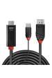 Obrázok pre Lindy 41498 adaptér k video kabelům 1 m HDMI + USB Type-A DisplayPort Černá