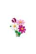 Obrázok pre LEGO BOTANICALS 11514 Květiny Cosmos