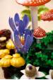 Obrázok pre LEGO BOTANICALS 11505 Lesní houby
