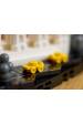 Obrázok pre LEGO ARCHITECTURE 21066 New York – Velké jablko