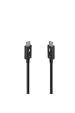 Obrázok pre Lindy 31130 Thunderbolt kabel 1 m 80 Gbit/s Černá