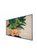 Obrázok pre Philips 55BDL4511D/00 sdělovací displej Digitální tabule 139,7 cm (55") 500 cd/m² 4K Ultra HD Černá 24/7