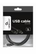 Obrázok pre Gembird CCP-USB2-AMBM-10 USB kabel 3,04 m USB A USB B Černá