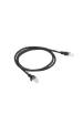 Obrázok pre Lanberg Patchcord RJ45, Kat. 5e, UTP, 1m, červená