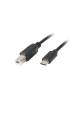 Obrázok pre Lanberg CA-USBA-14CC-0030-BK USB kabel 3m USB 2.0 USB C USB B Ferrit Černá